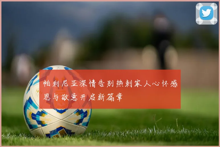 帕利尼亚深情告别热刺家人心怀感恩与敬意开启新篇章